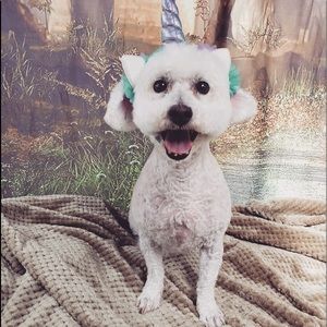 Meet your Posher, Leah